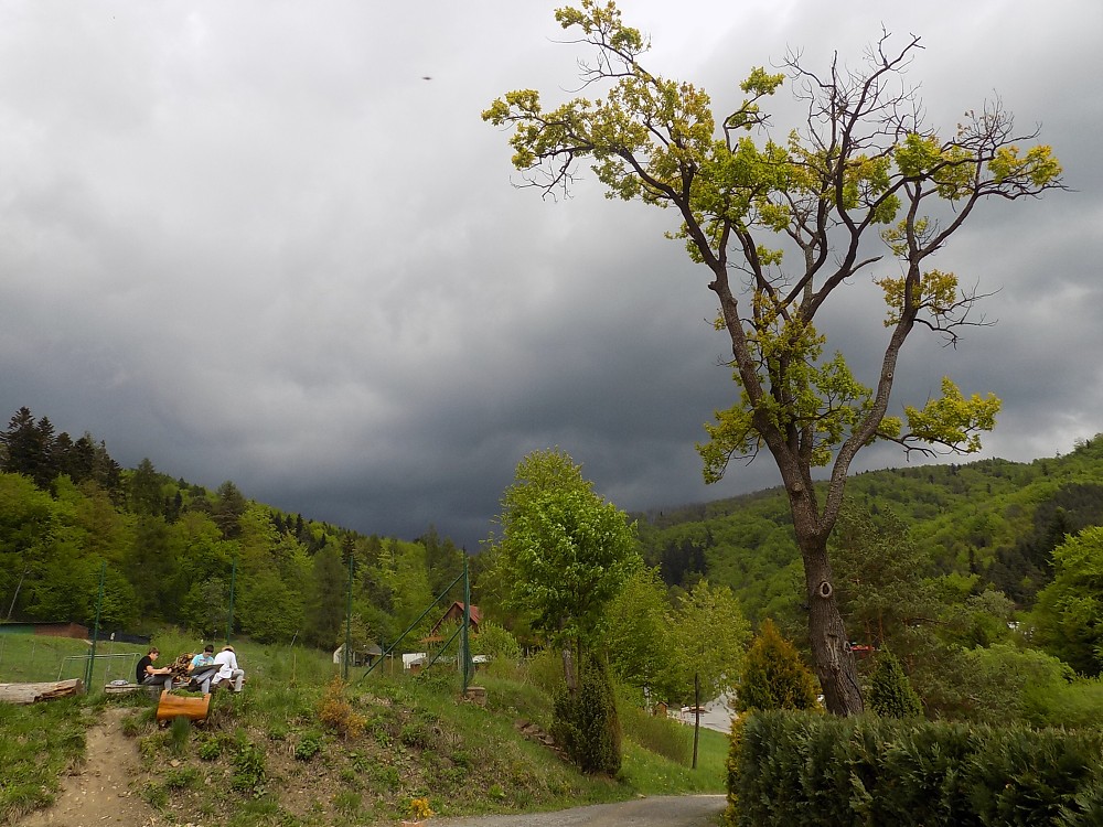 img00040.jpg