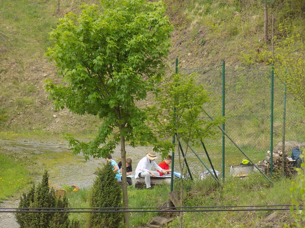 img00053.jpg