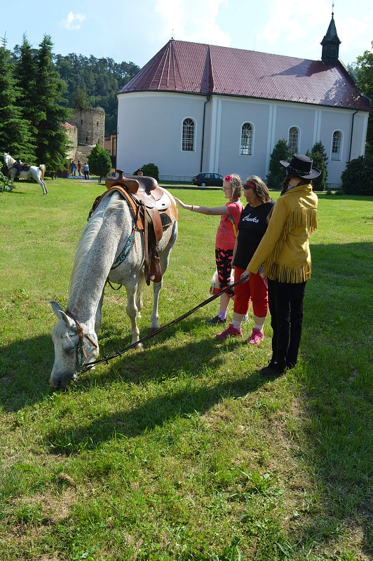 img00065.jpg