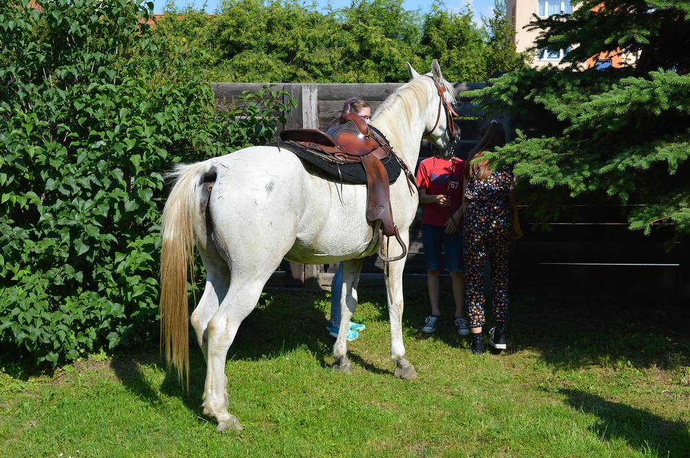 img00092.jpg