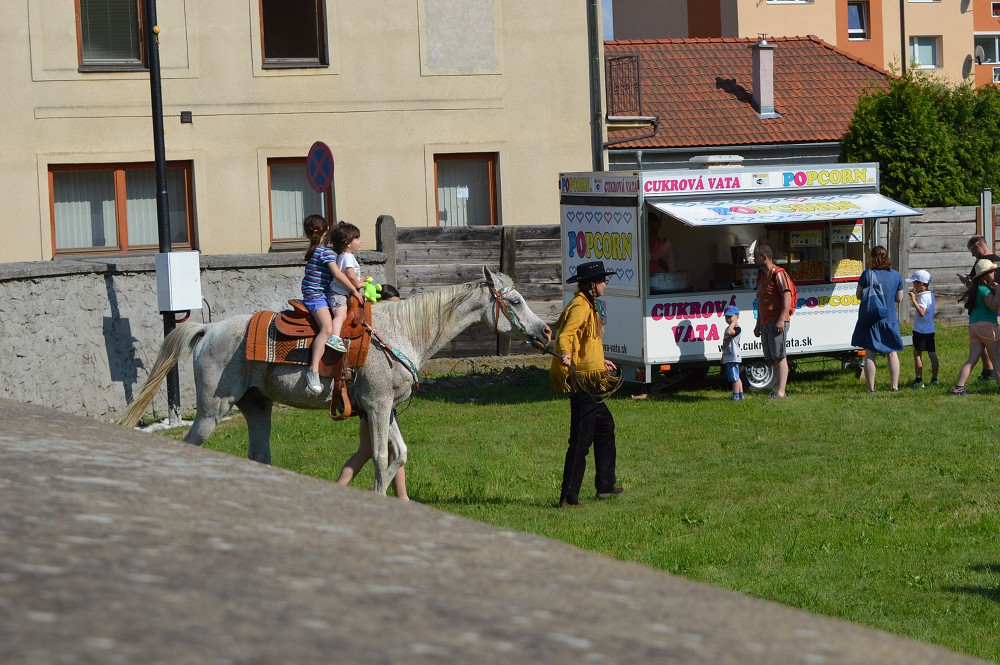 img00105.jpg