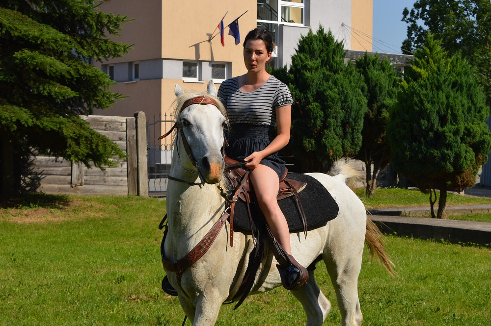 img00115.jpg