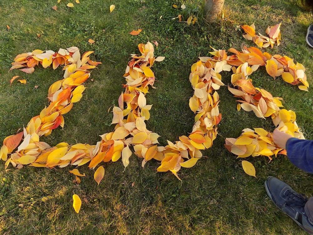 img00026.jpg