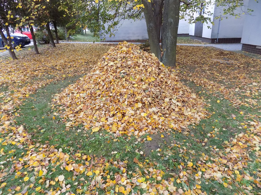 img00034.jpg