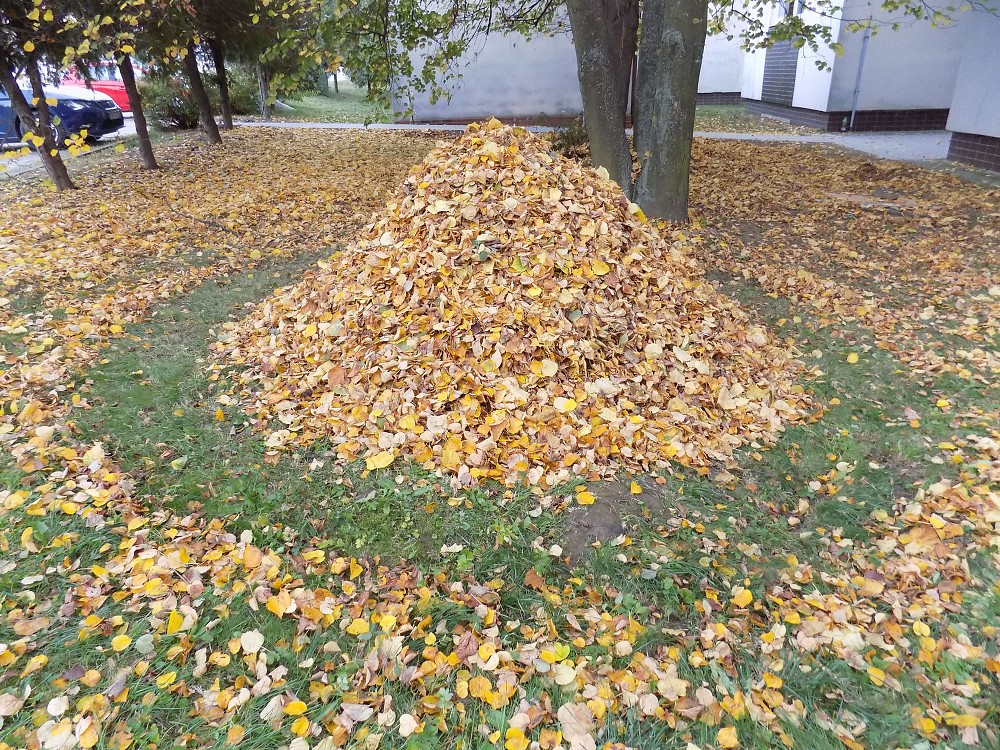 img00035.jpg