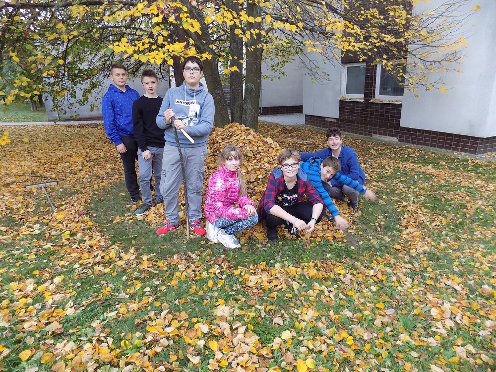 img00036.jpg