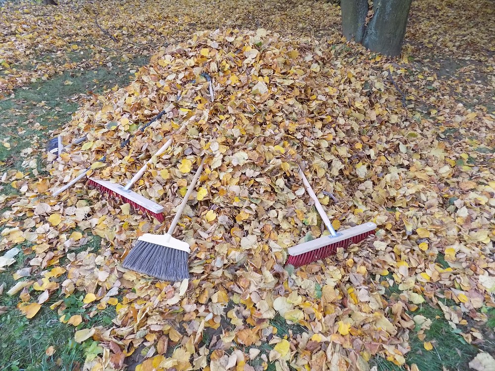 img00039.jpg