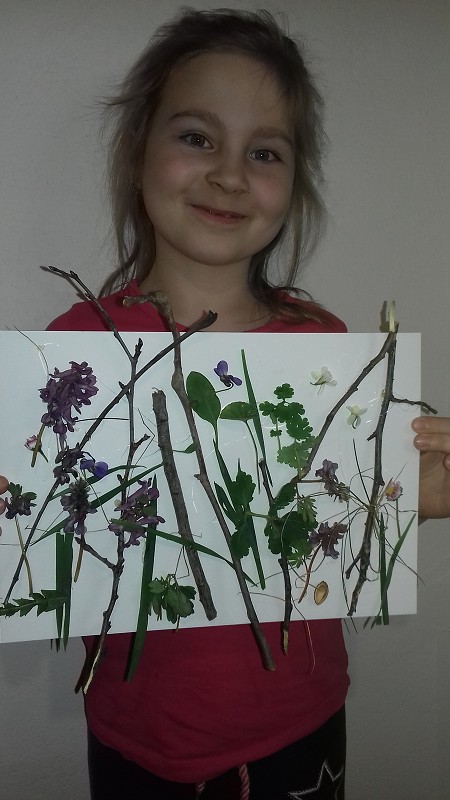 img00005.jpg