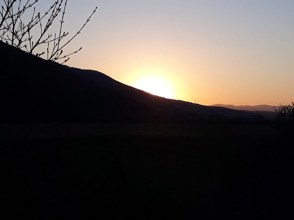 img00015.jpg