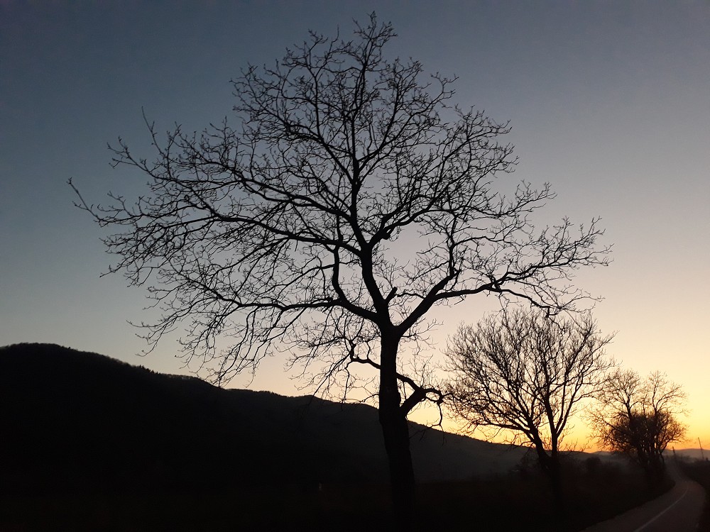 img00016.jpg