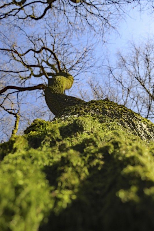img00065.jpg