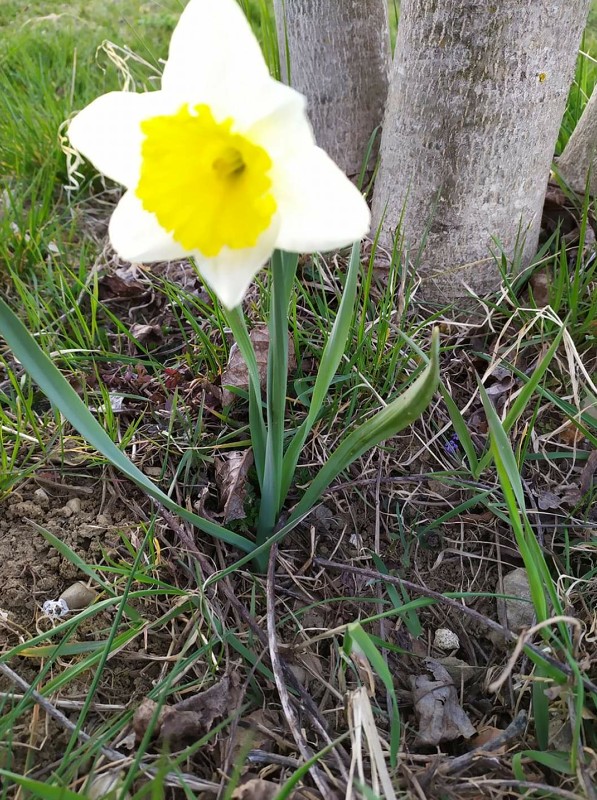 img00080.jpg