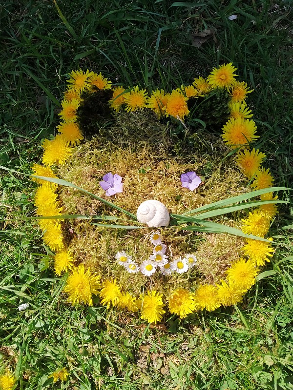 img00034.jpg