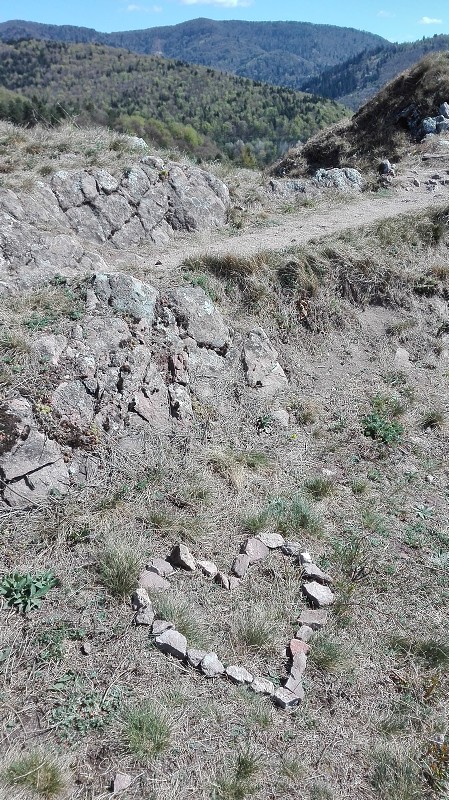 img00066.jpg