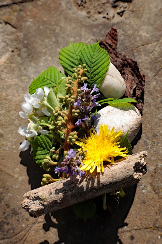 img00077.jpg