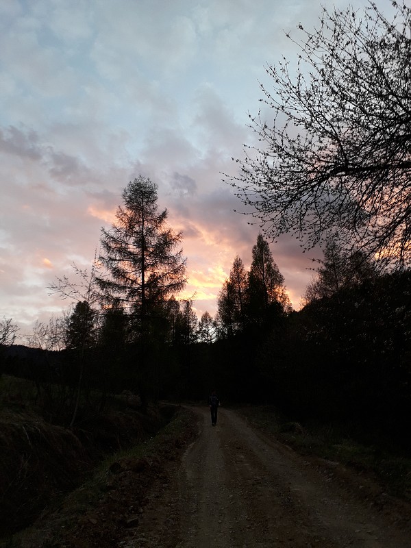 img00060.jpg