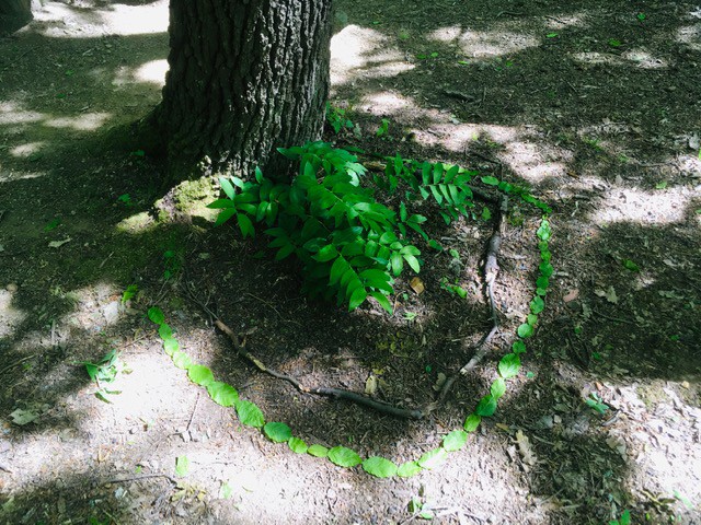 img00030.jpg