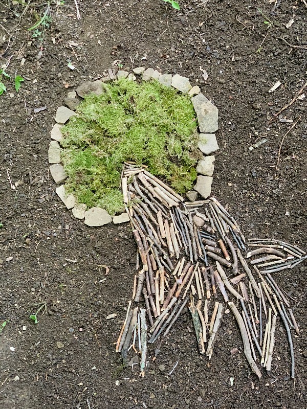 img00048.jpg