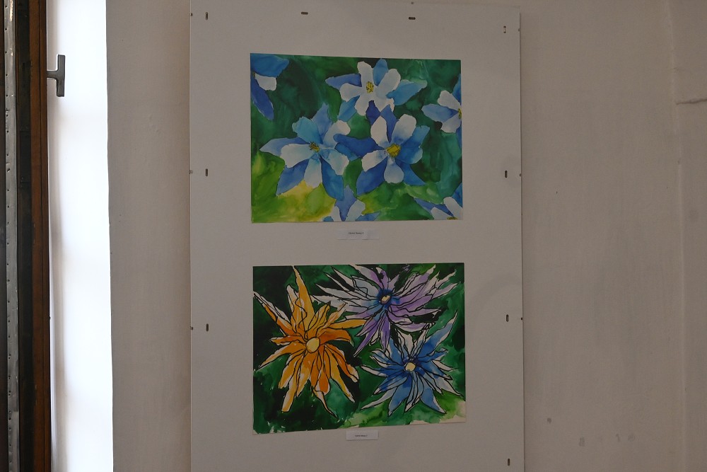 img00010.jpg