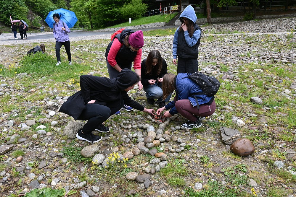img00007.jpg