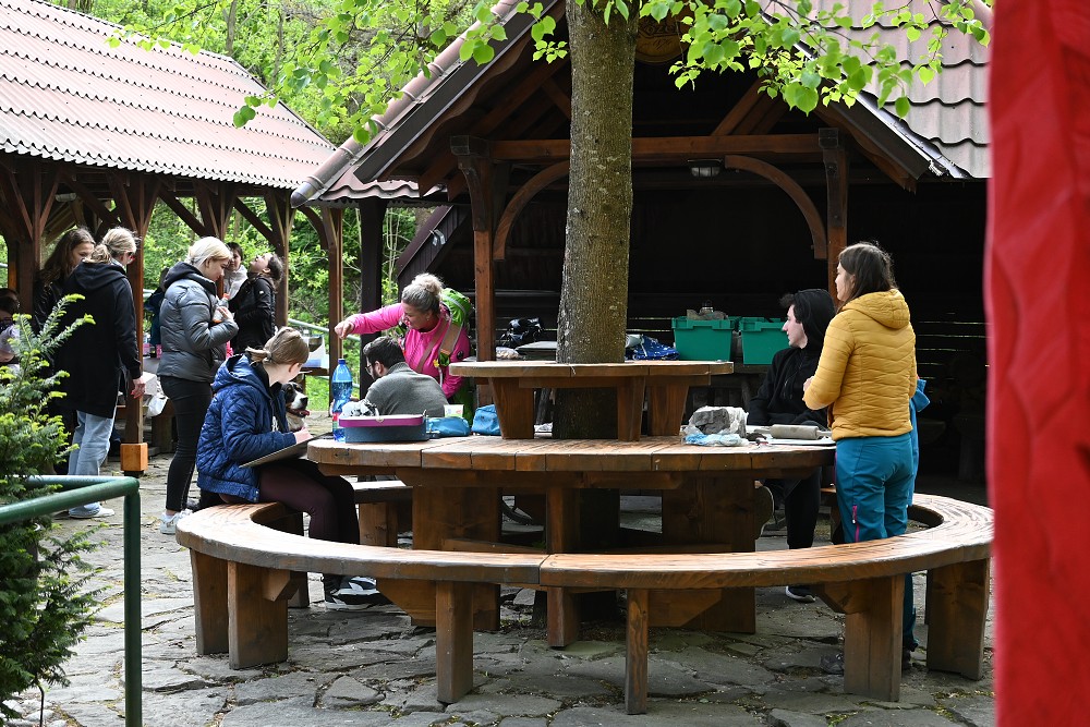 img00062.jpg