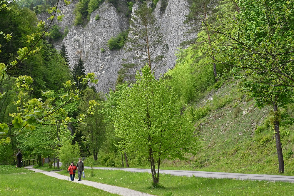 img00063.jpg