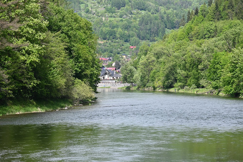 img00066.jpg