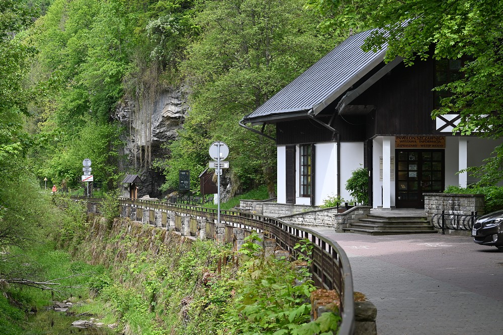 img00068.jpg