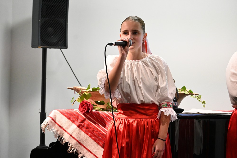 img00029.jpg