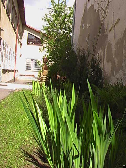 img00013.jpg