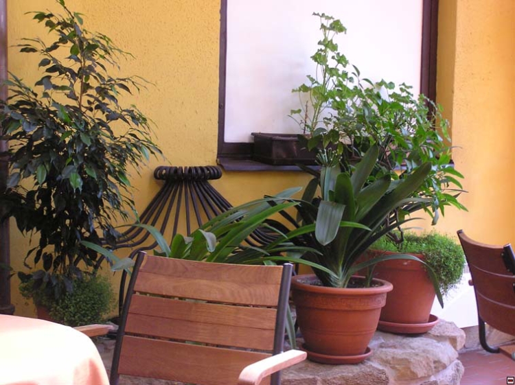 img00025.jpg