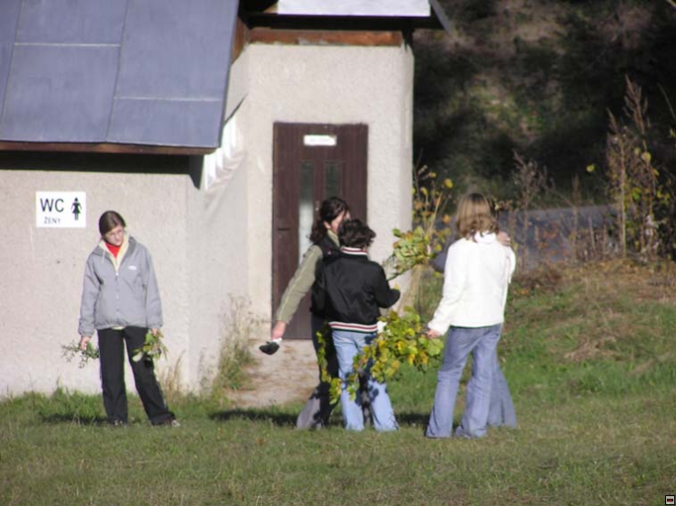 img00024.jpg