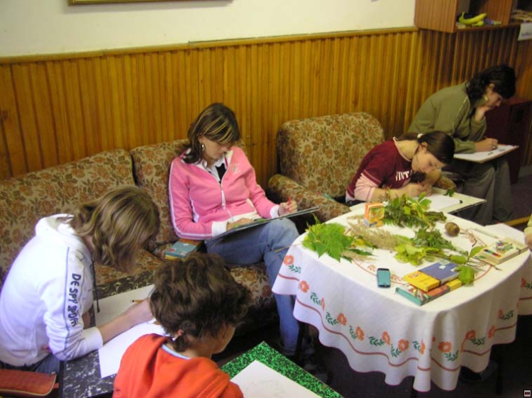 img00030.jpg