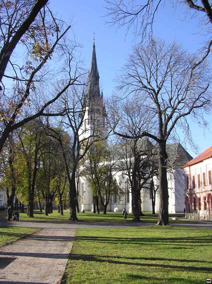img00028.jpg