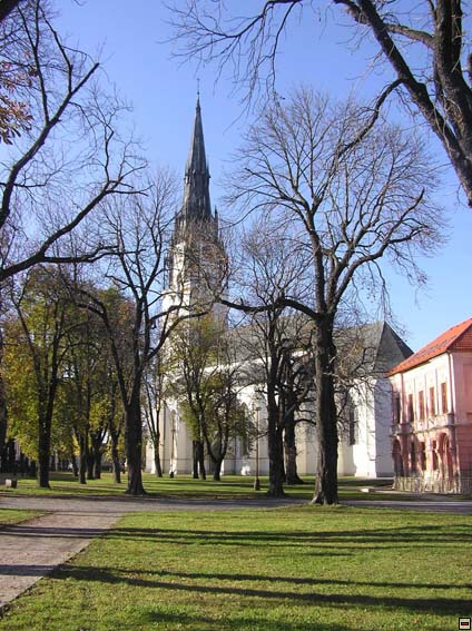 img00029.jpg