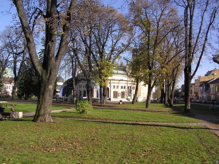 img00032.jpg