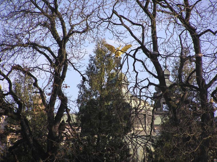 img00039.jpg
