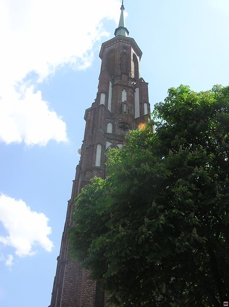 img00052.jpg