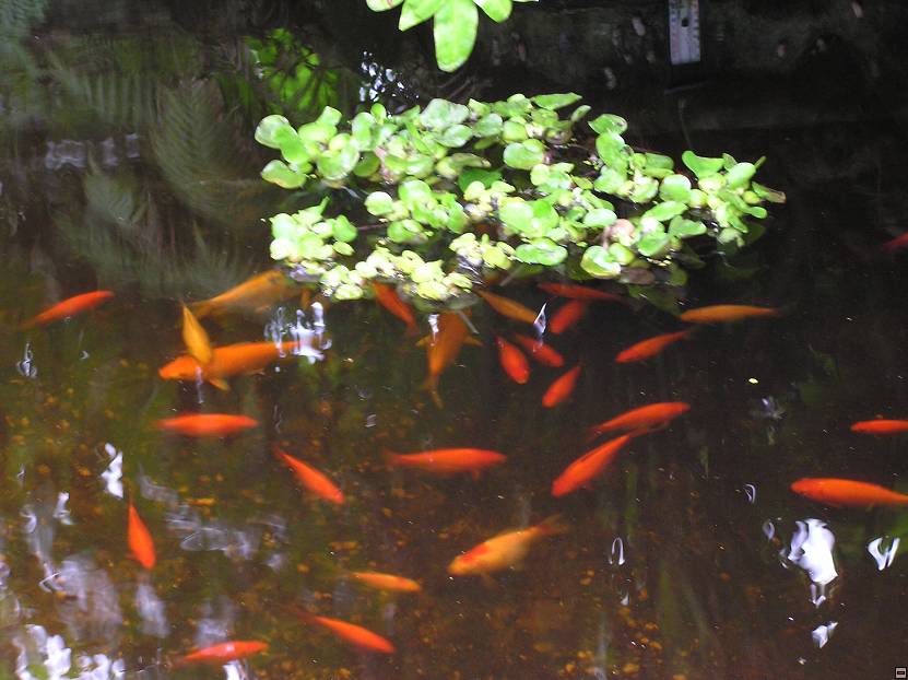 img00038.jpg