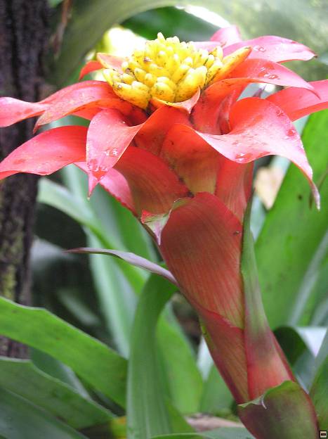 img00040.jpg