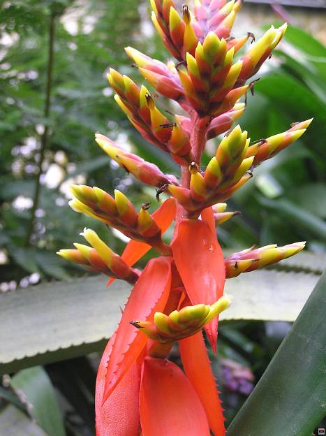 img00044.jpg