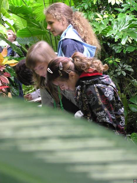 img00068.jpg