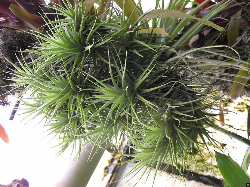 img00074.jpg