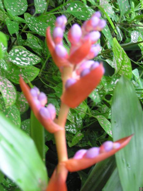 img00076.jpg