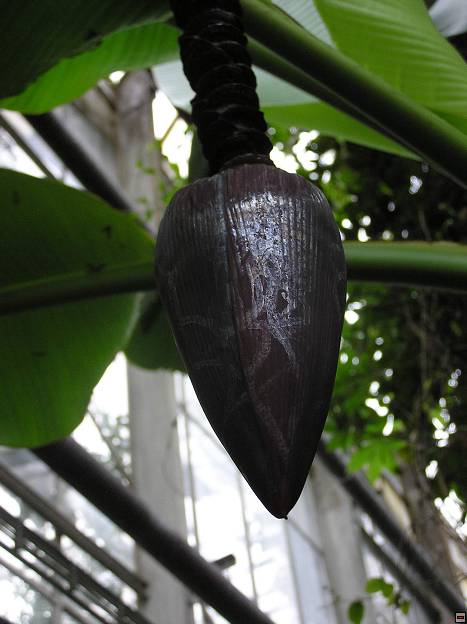 img00082.jpg