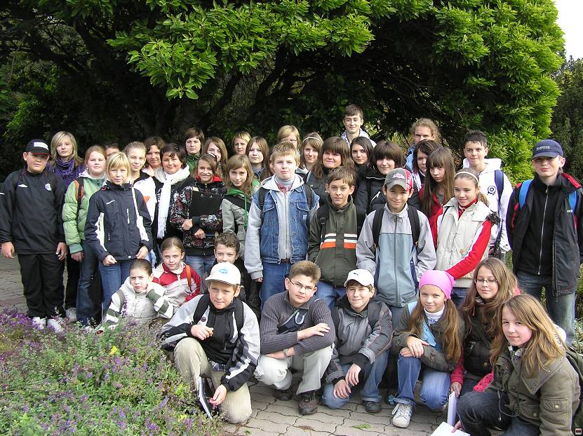 img00095.jpg