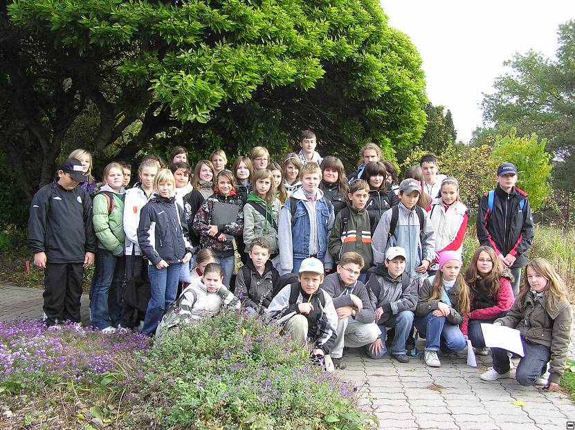 img00096.jpg