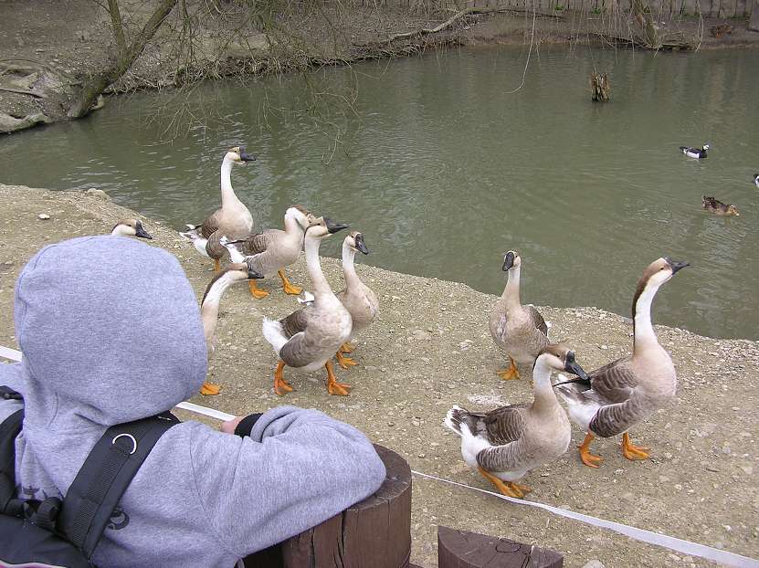 img00048.jpg