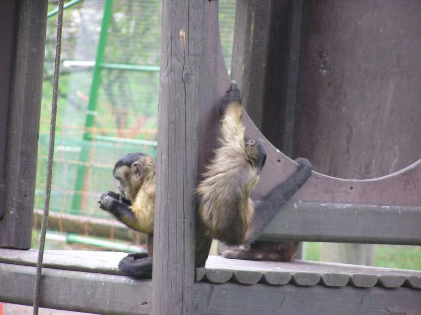 img00049.jpg