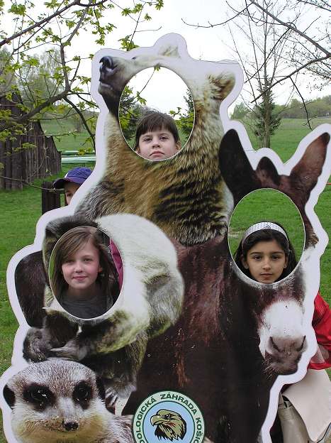 img00050.jpg